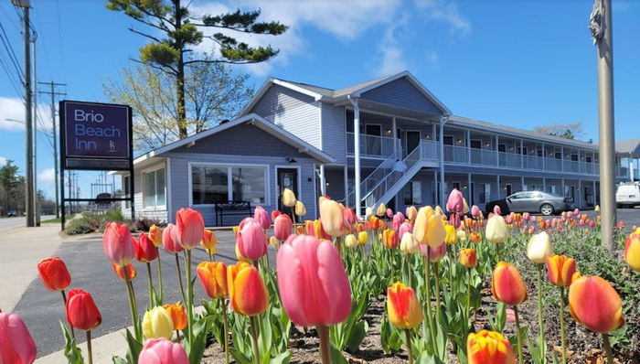 Brio Beach Inn (Sands Motel) - Web Listing (newer photo)